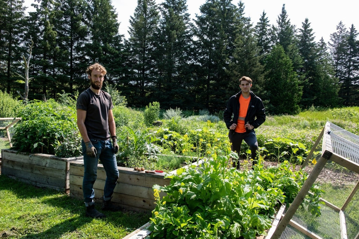 Cael Wishart, Head Gardener, and Matteo Pereira, Summer Gardening Assistant, surrounded by raised planters and garden plots in the U of G Arboretum